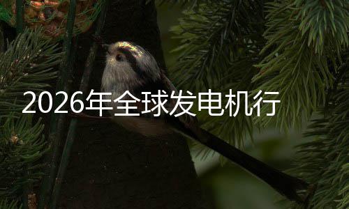 年全内外业国行业先企球发电机领名规模份额及排市场市场